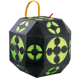 Rinehart 18-1 Broadhead and Field Point Target