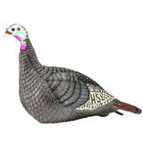 HS STRUT-LITE STANDING HEN DECOY