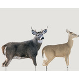 MONTANA BUCK AND DOE DREAM TEAM DECOYS