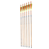 Black Eagle Vintage Traditional Arrows Crested w/ Feathers 6 Pack