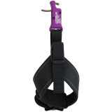 SPOT HOGG WISE GUY RELEASE