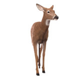 Dave Smith Decoys Standing Doe Decoy