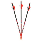 CX MAXIMA RED 250 ARROW 6 PK