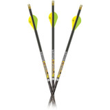 CX MAYHEM HUNTER DS 350 ARROW 6PK CX MAYHEM HUNTER DS 350 ARROW 6PK