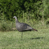 HS STRUT-LITE STANDING HEN DECOY