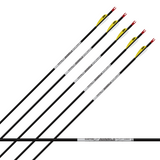 EASTON AVANCE SPORT ARROW