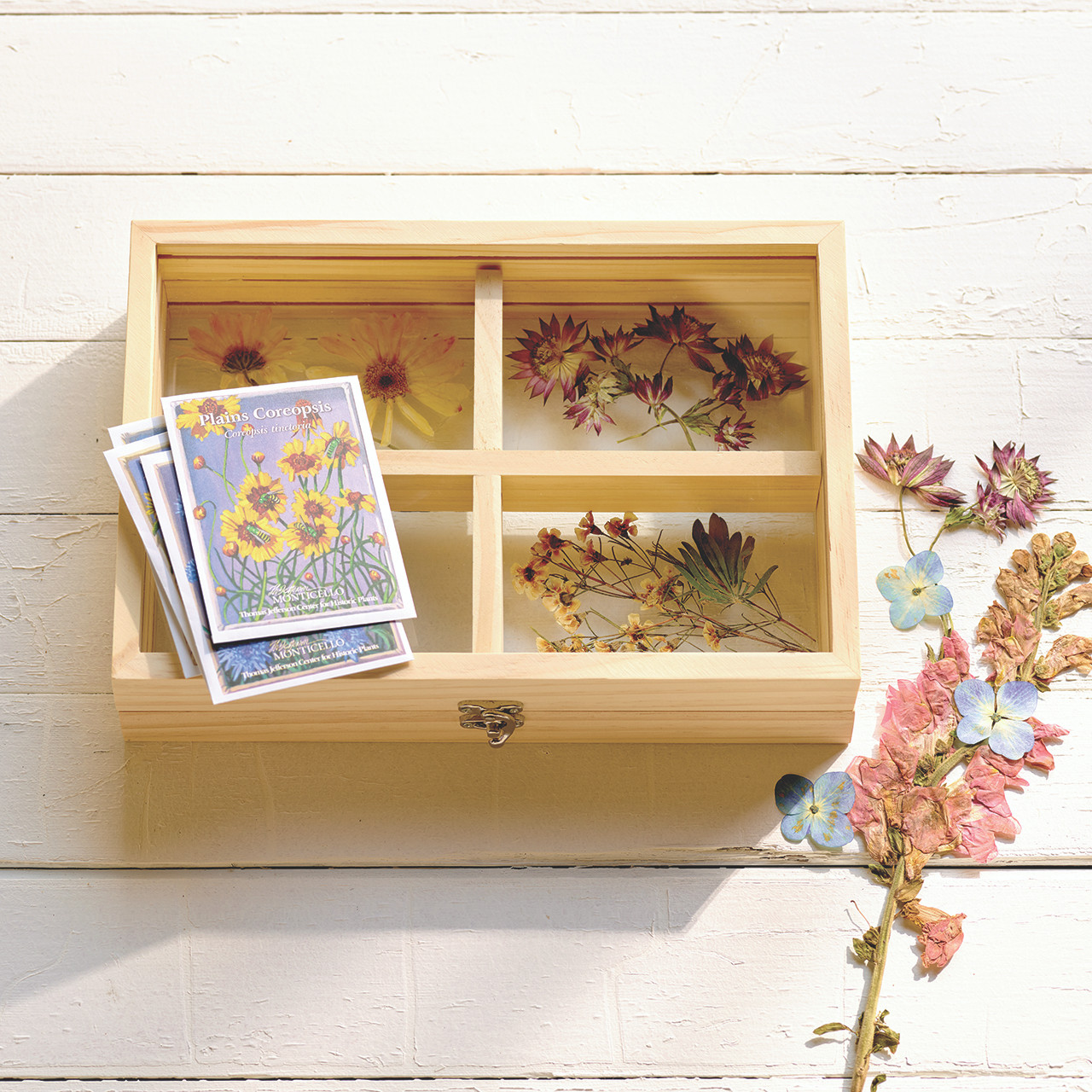 Monticello Dried Flowers Floating Frame - Monticello Shop