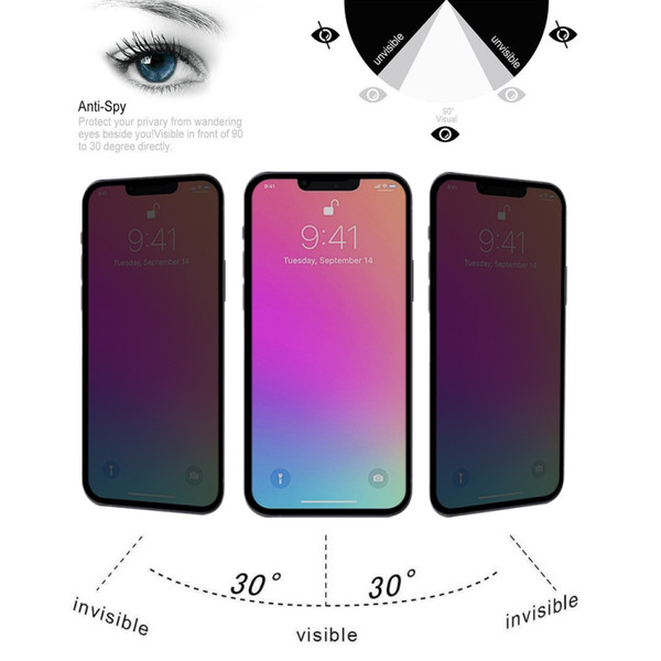 iPhone 11 Pro Max / XS Max PRIVACY 9D Full Glue Screen Tempered Glass