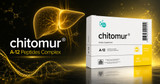 A Closer Look at Chitomur A-12