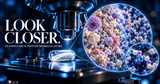 Glandulars and Peptide Bioregulators: What Is the Difference?