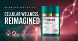 Inside Prime Peptide Protect: A Thoughtful Approach to Everyday Cellular Wellness