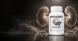 The Natural Kidney Peptide Bioregulator | Renolux