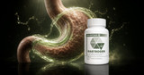The Natural Gastric Mucin Peptide Bioregulator | Gastrogen