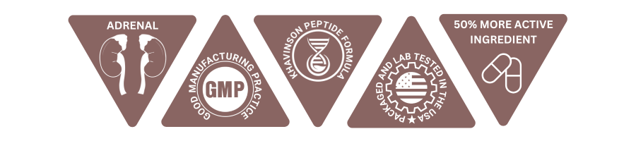 adrenal-peptide-bioregulator-description-new.png
