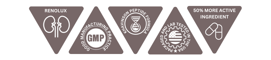 renolux-kidney-peptide-bioregulator-description.png