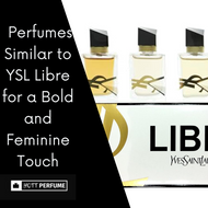 Perfumes Similar to YSL Libre for a Bold Fragrance Experience