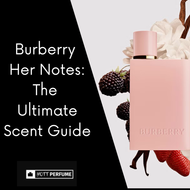 Burberry Her Notes: The Ultimate Scent Guide