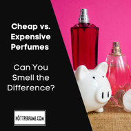 ​Cheap vs. Expensive Perfumes – Can You Smell the Difference?