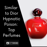 Similar to Dior Hypnotic Poison: Top Perfumes