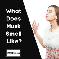 What Does Musk Smell Like?