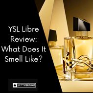 YSL Libre Review: What Does It Smell Like?