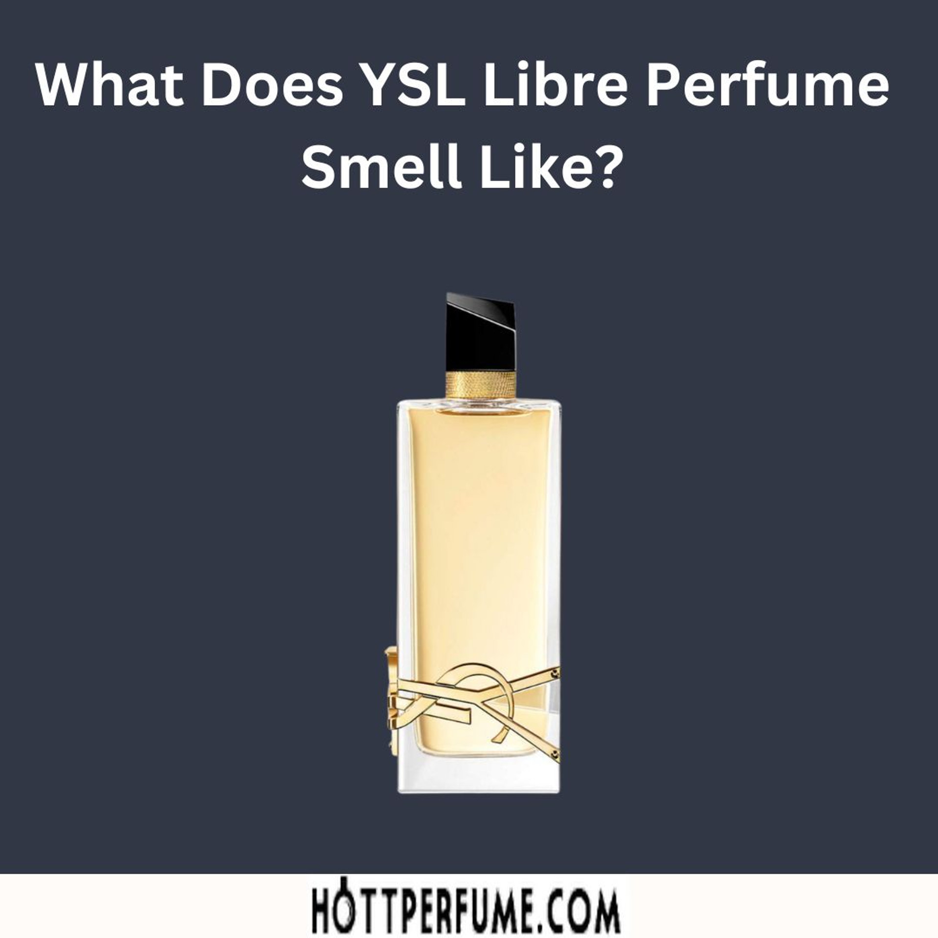 What Does YSL Libre Smell Like? An InDepth Review