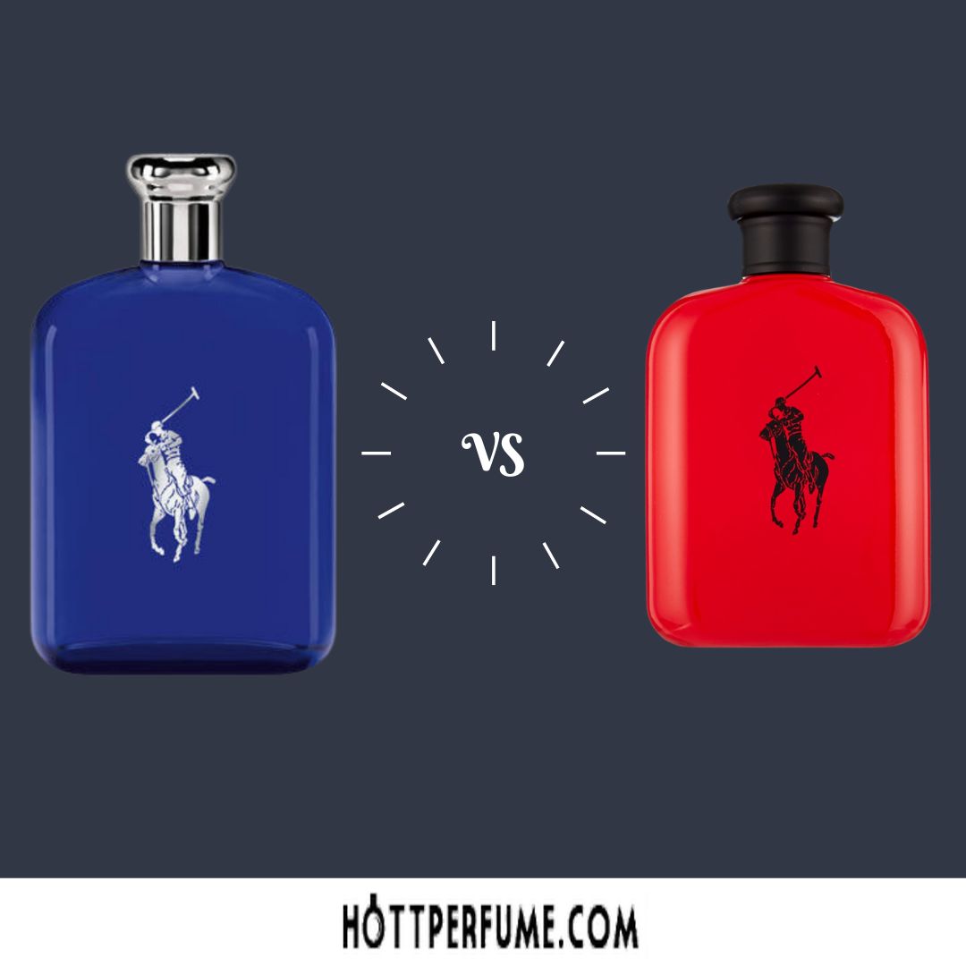Polo Blue vs Polo Red Which Fragrance Reigns Supreme?