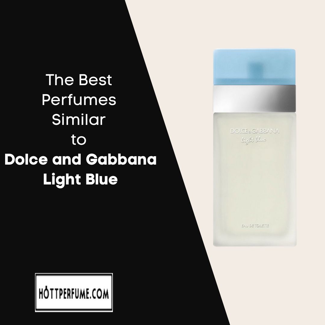 The Best Perfumes Similar to Dolce and Gabbana Light Blue