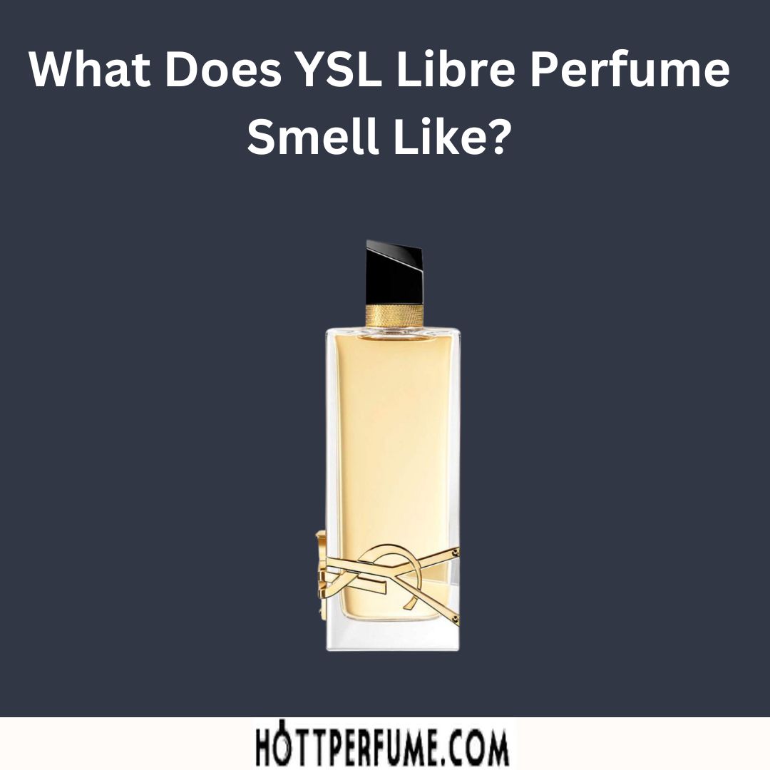 What Does YSL Libre Smell Like? An InDepth Review