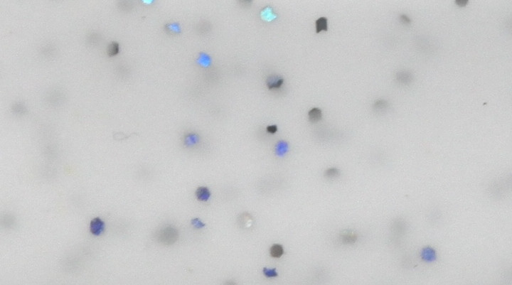 Skirts Plus BioFlex Standard Glitter Spinnerbait Skirts - Image 3