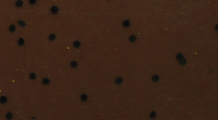 Skirts Plus BioFlex Standard Glitter Spinnerbait Skirts - Image 69