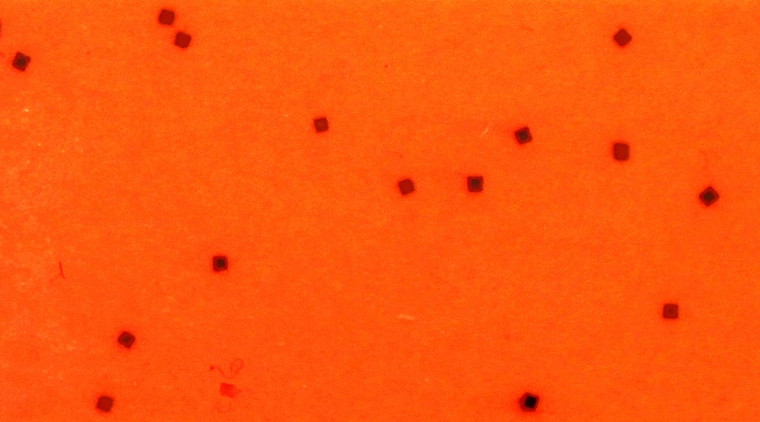 Skirts Plus BioFlex Standard Glitter Spinnerbait Skirts - Image 24