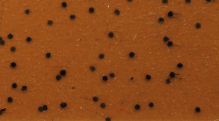 Skirts Plus BioFlex Standard Glitter Spinnerbait Skirts - Image 48