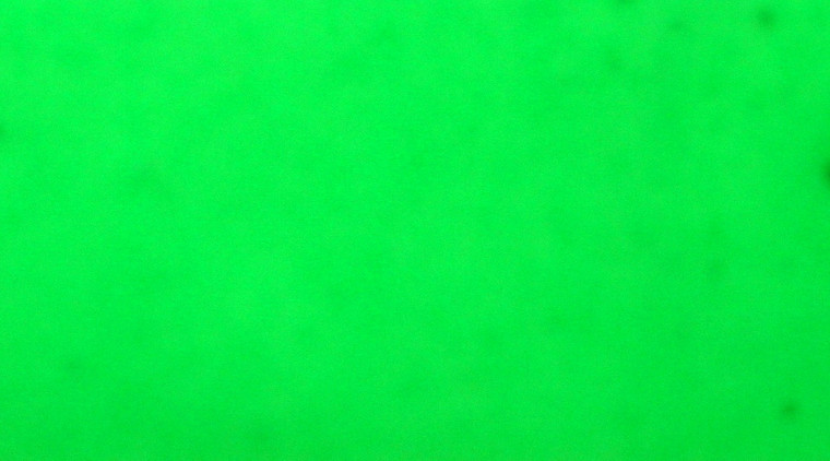 Skirts Plus BioFlex Standard Glitter Spinnerbait Skirts - Image 33