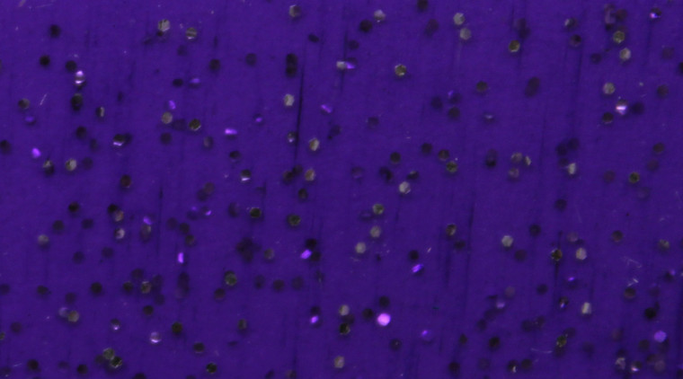 Skirts Plus BioFlex Standard Glitter Spinnerbait Skirts - Image 42