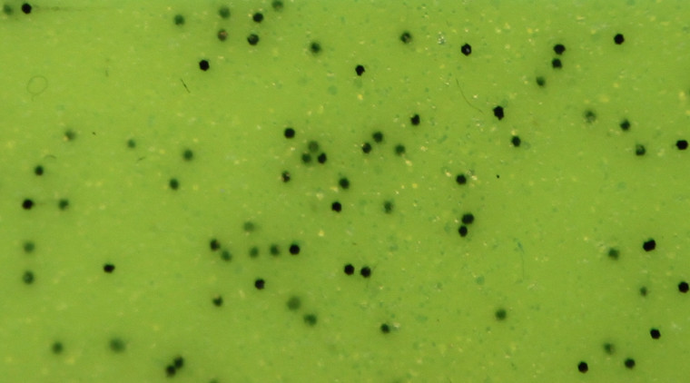 Skirts Plus Bio-Flex Silicone Fine Glitter (FG Series) Skirt Tabs - Image 12