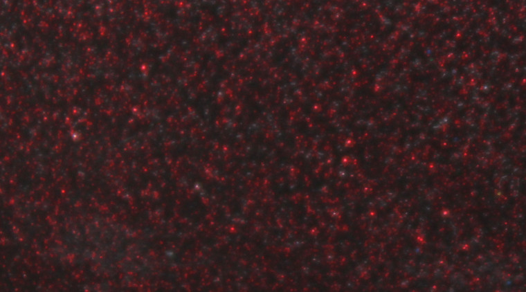 Skirts Plus Bio-Flex Silicone Fine Glitter (FG Series) Skirt Tabs - Image 26