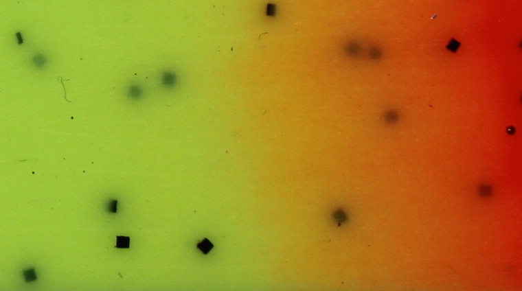 Skirts Plus BioFlex Firetip Bass Fishing Skirts - Image 4