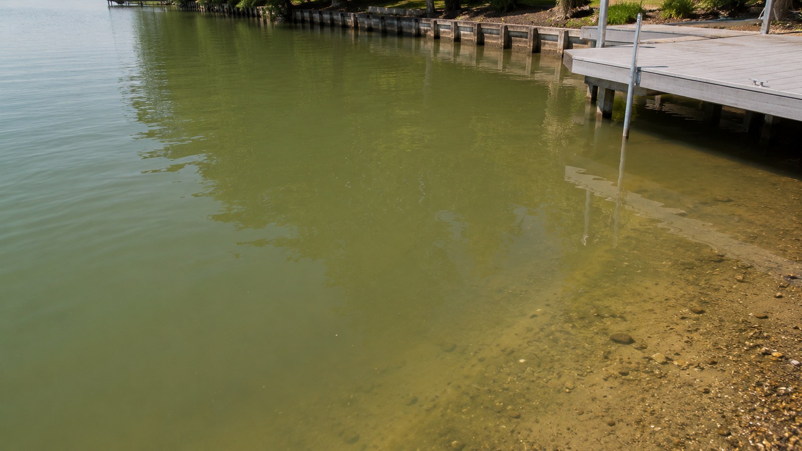 Stained green-brown lake water beside a boat dock and seawall