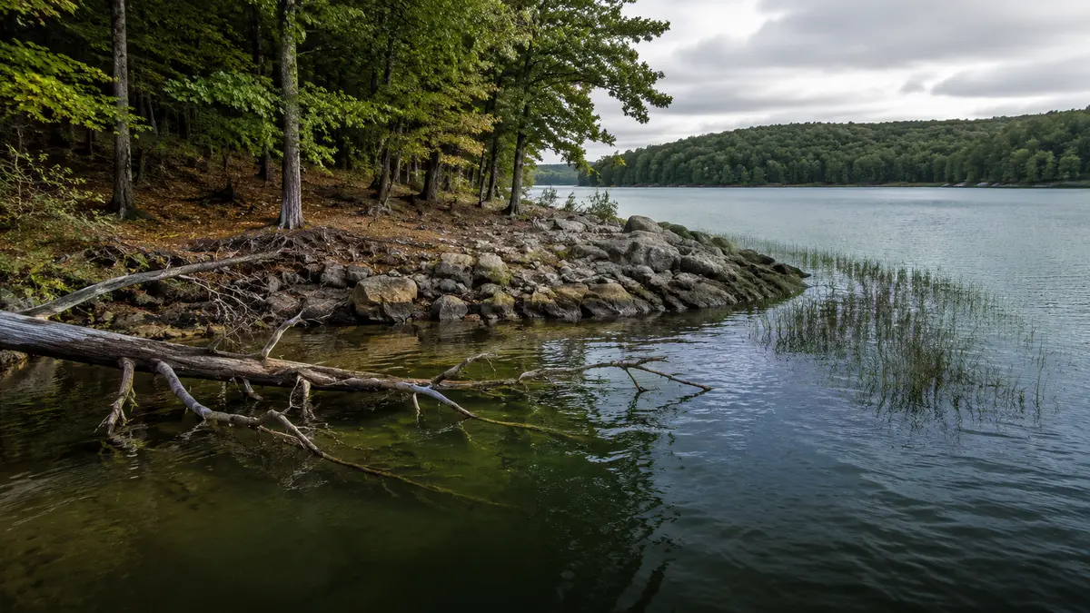 Rock, wood and grass cover along a bass reservoir point