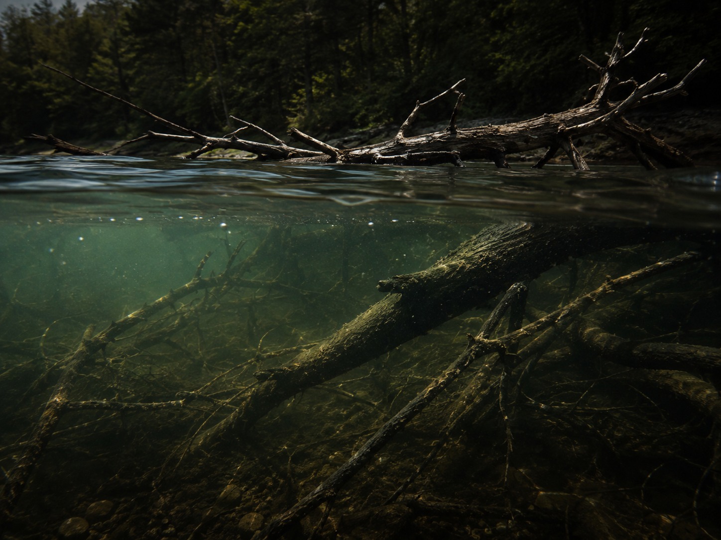 Submerged wood, brush and laydown bass cover