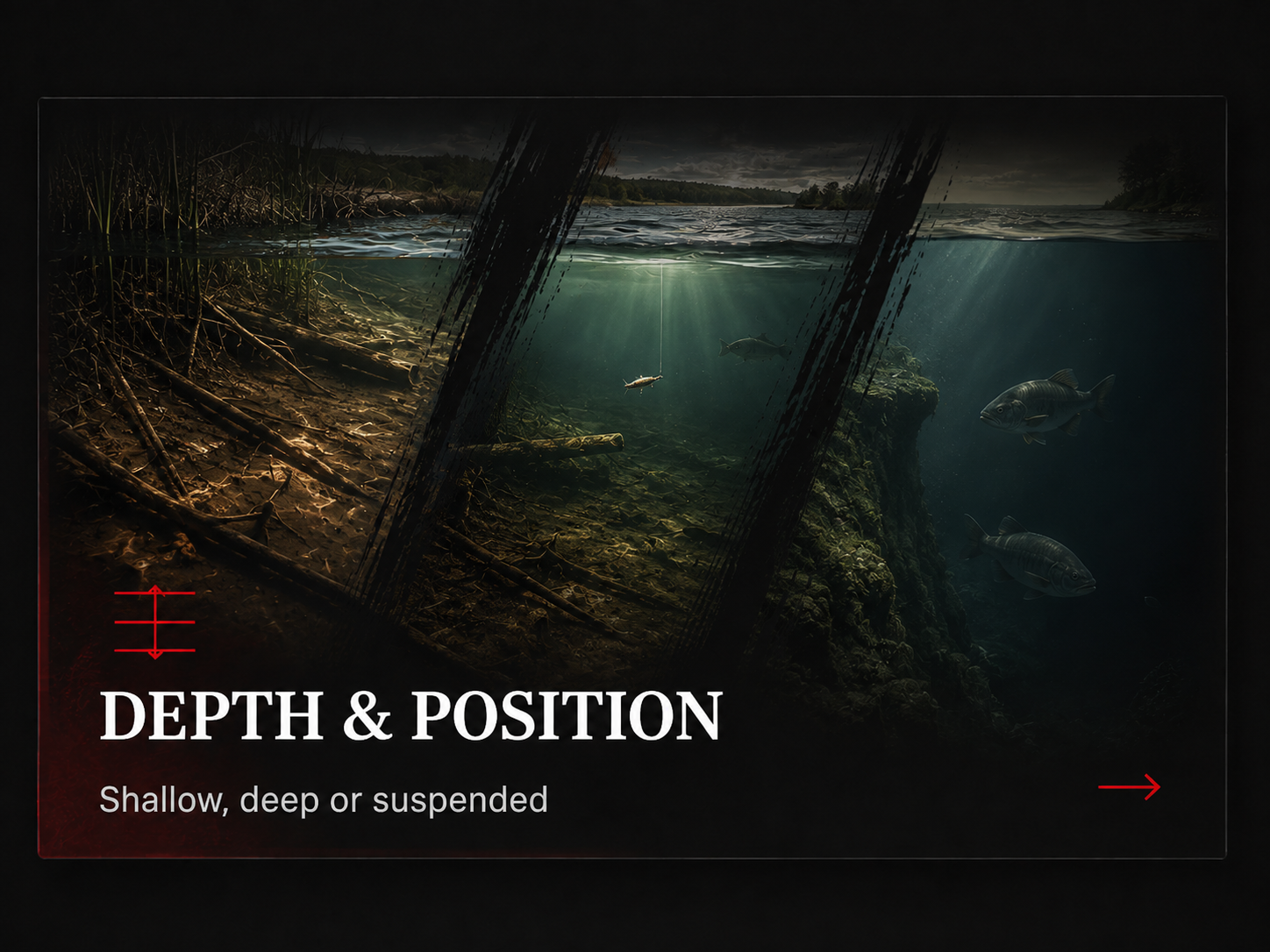 Shallow, mid-depth and deep-water fishing examples
