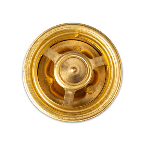 Thermostat 160 Degree