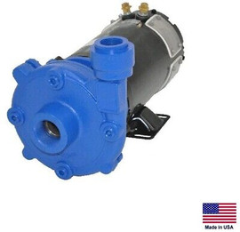 MARINE SEPTIC & WASHDOWN PUMP - Cast Iron - 3300 GPH - 1 Hp - 12 Volt DC