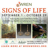Signs of Life Artist Statement