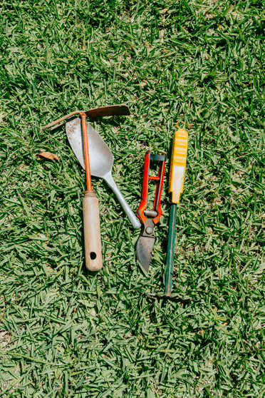 An Assortment Of Gardening Tools