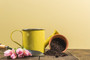 Watering Can