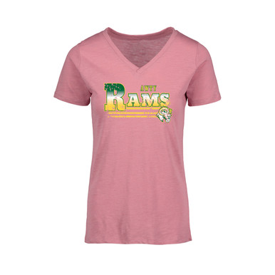T-SHIRT VNECK - Awty School Store