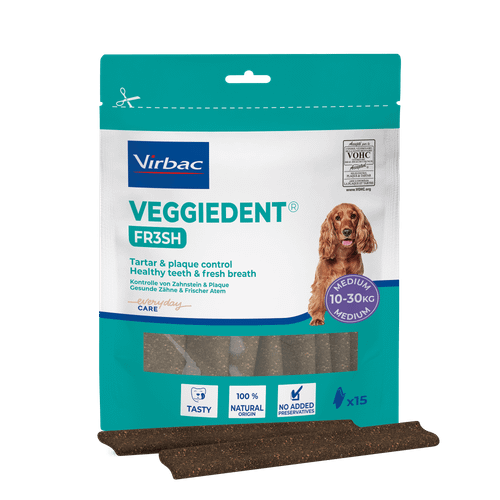 307866_Packshot_Veggiedent-Fr3sh_M_New_face.png