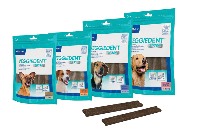 VeggieDent® FR3SH™ Dental Chews